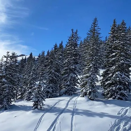 Alpinresort 2 By Interhome
