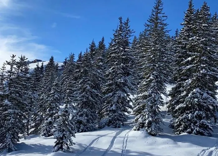 Alpinresort 2 By Interhome